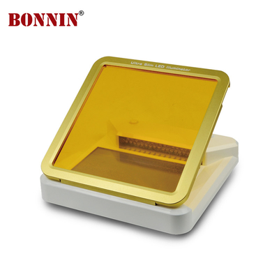 UV Transilluminator Gel Electrophoresis 470nm Ultraslim Blue Led Illuminator